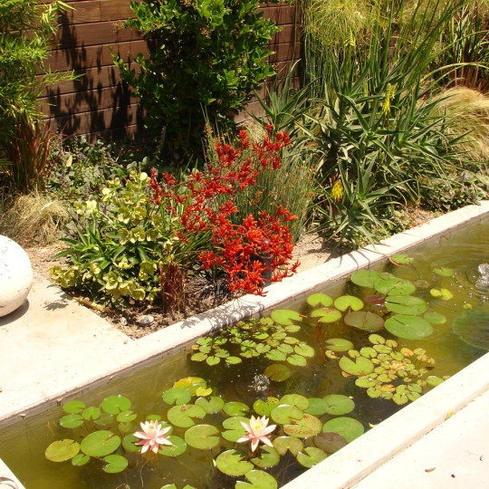 https://atmospherelandscapes.com/wp-content/uploads/2015/05/BURBANK-DSC05638-540x540.jpg