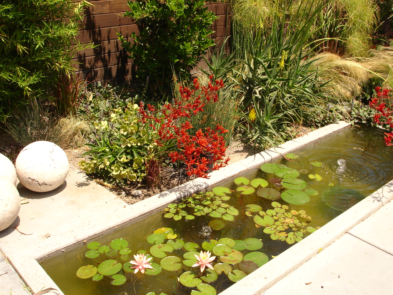 https://atmospherelandscapes.com/wp-content/uploads/2015/05/BURBANK-DSC05638.jpg