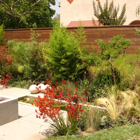 https://atmospherelandscapes.com/wp-content/uploads/2015/05/BURBANK-DSC05653-540x540.jpg