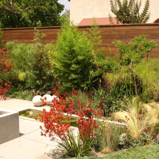 https://atmospherelandscapes.com/wp-content/uploads/2015/05/BURBANK-DSC056531-540x540.jpg