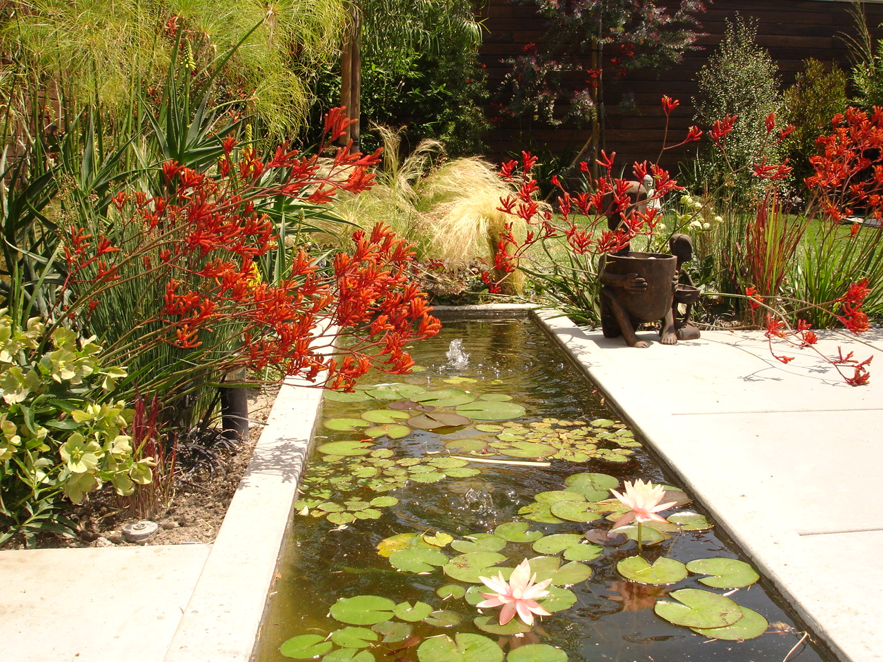 https://atmospherelandscapes.com/wp-content/uploads/2015/05/BURBANK-Lily-Pads-in-Burbank.jpg
