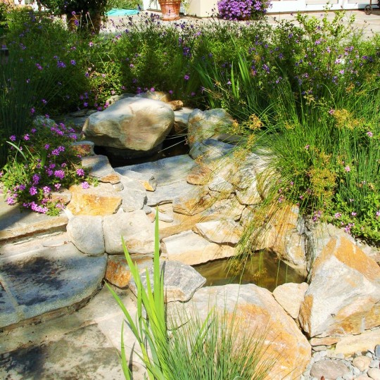 https://atmospherelandscapes.com/wp-content/uploads/2015/05/DSC09703-2-540x540.jpg