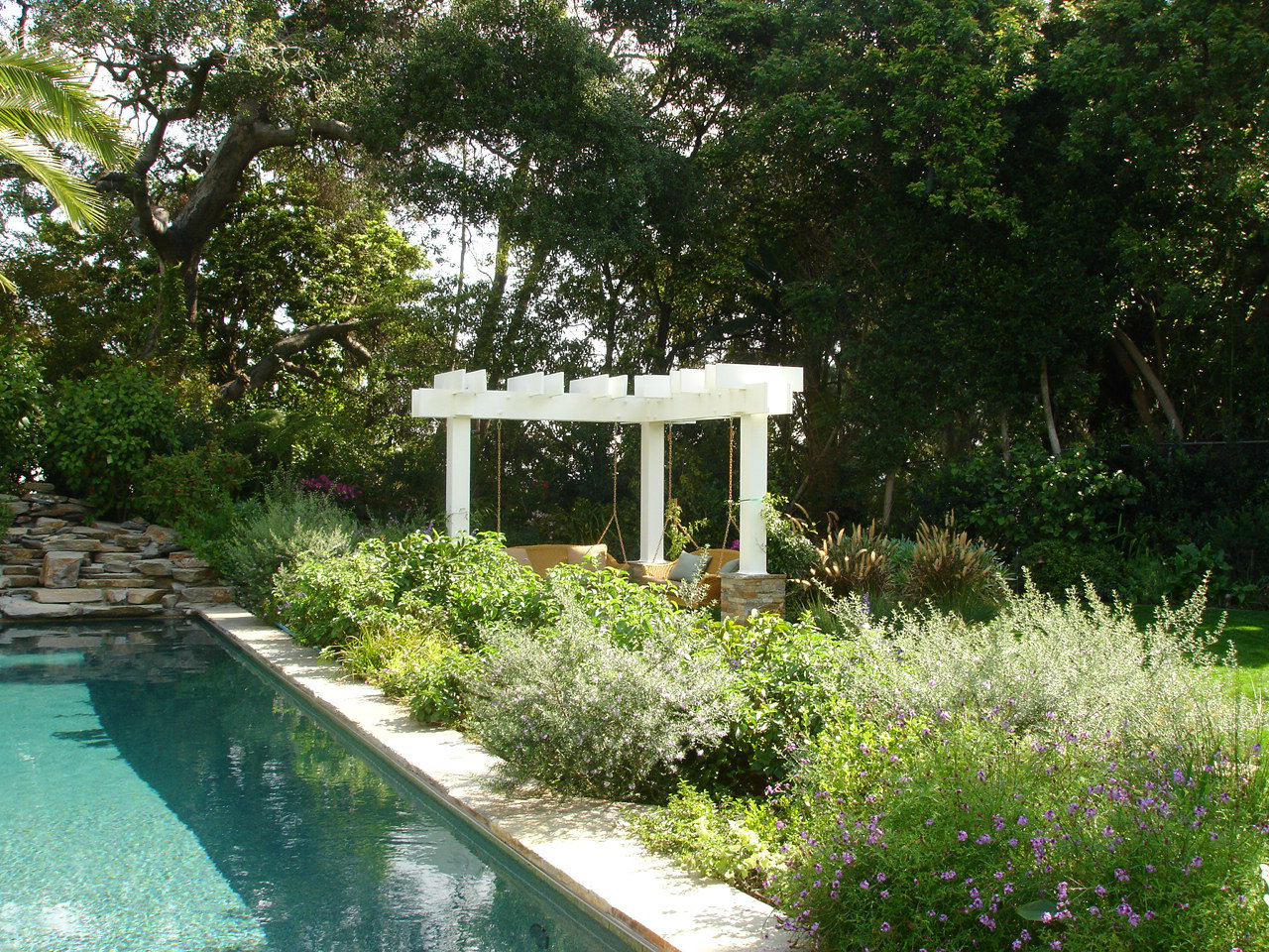 https://atmospherelandscapes.com/wp-content/uploads/2015/05/Drought-Tolerant.jpg