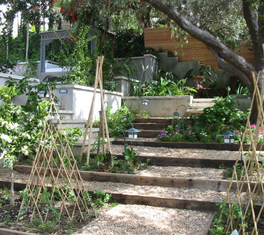 https://atmospherelandscapes.com/wp-content/uploads/2015/05/LOS-FELIZ-AFT-4-540x480.jpg