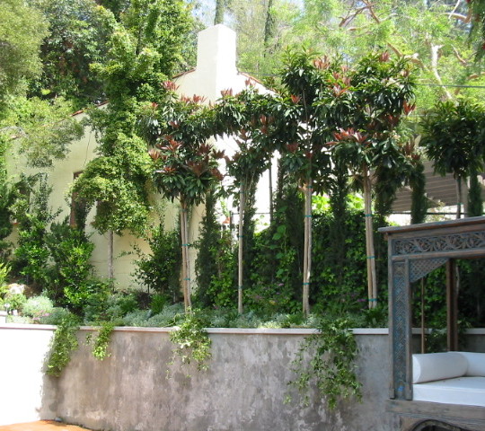 https://atmospherelandscapes.com/wp-content/uploads/2015/05/LOS-FELIZ-AFT-8-540x480.jpg