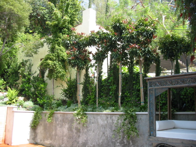 https://atmospherelandscapes.com/wp-content/uploads/2015/05/LOS-FELIZ-AFT-8.jpg