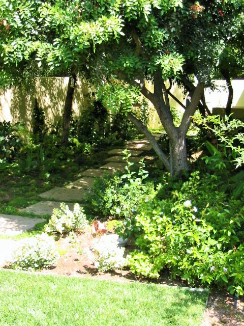 https://atmospherelandscapes.com/wp-content/uploads/2015/05/OAK-PARK-PETERSON-67.jpg