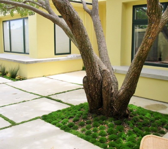 https://atmospherelandscapes.com/wp-content/uploads/2015/05/OAK-PARK-PETERSON-7-540x480.jpg