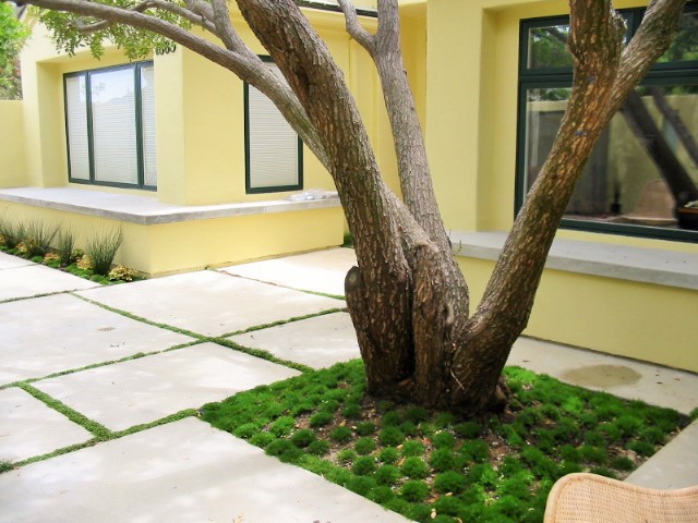 https://atmospherelandscapes.com/wp-content/uploads/2015/05/OAK-PARK-PETERSON-7.jpg