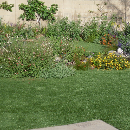 https://atmospherelandscapes.com/wp-content/uploads/2016/01/Artificial-Turf-cfw-540x540.jpg