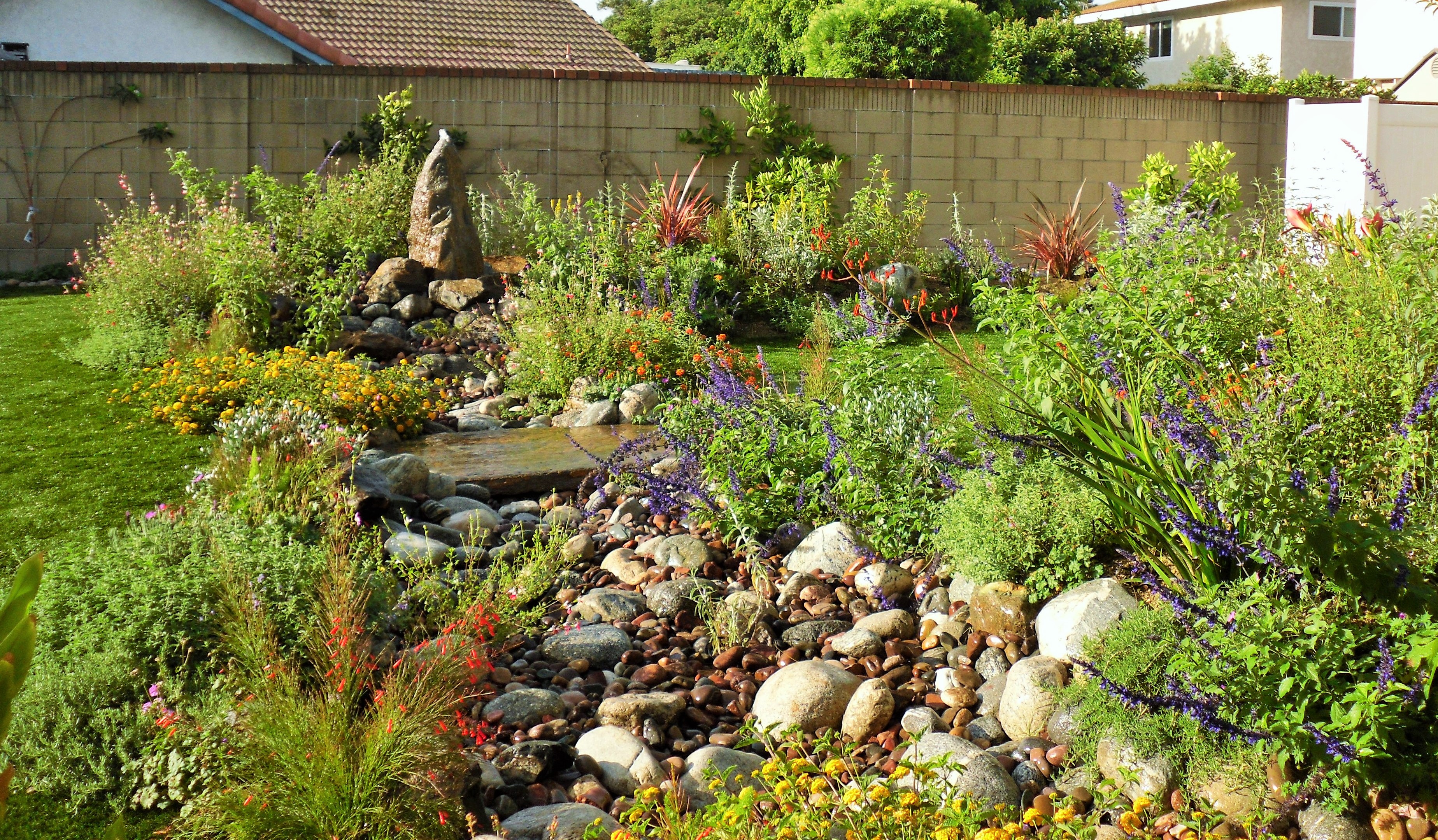 https://atmospherelandscapes.com/wp-content/uploads/2016/01/Drought-Tolerant-Lawn-Replacement-.jpg
