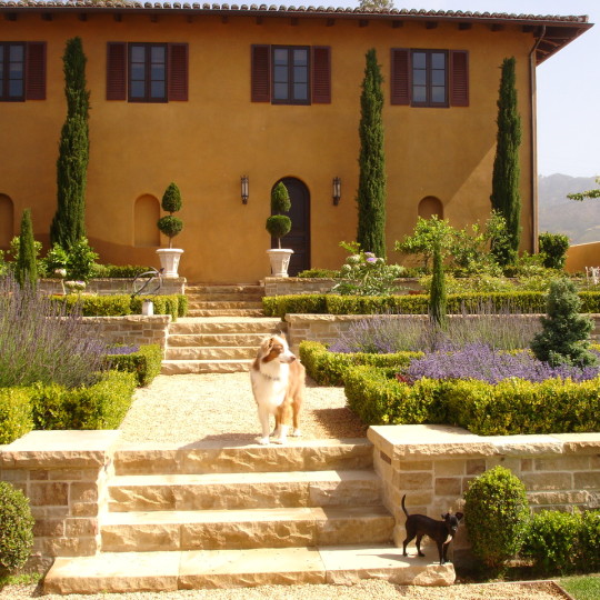 https://atmospherelandscapes.com/wp-content/uploads/2016/01/Formal-Garden-Residents-Posing-540x540.jpg