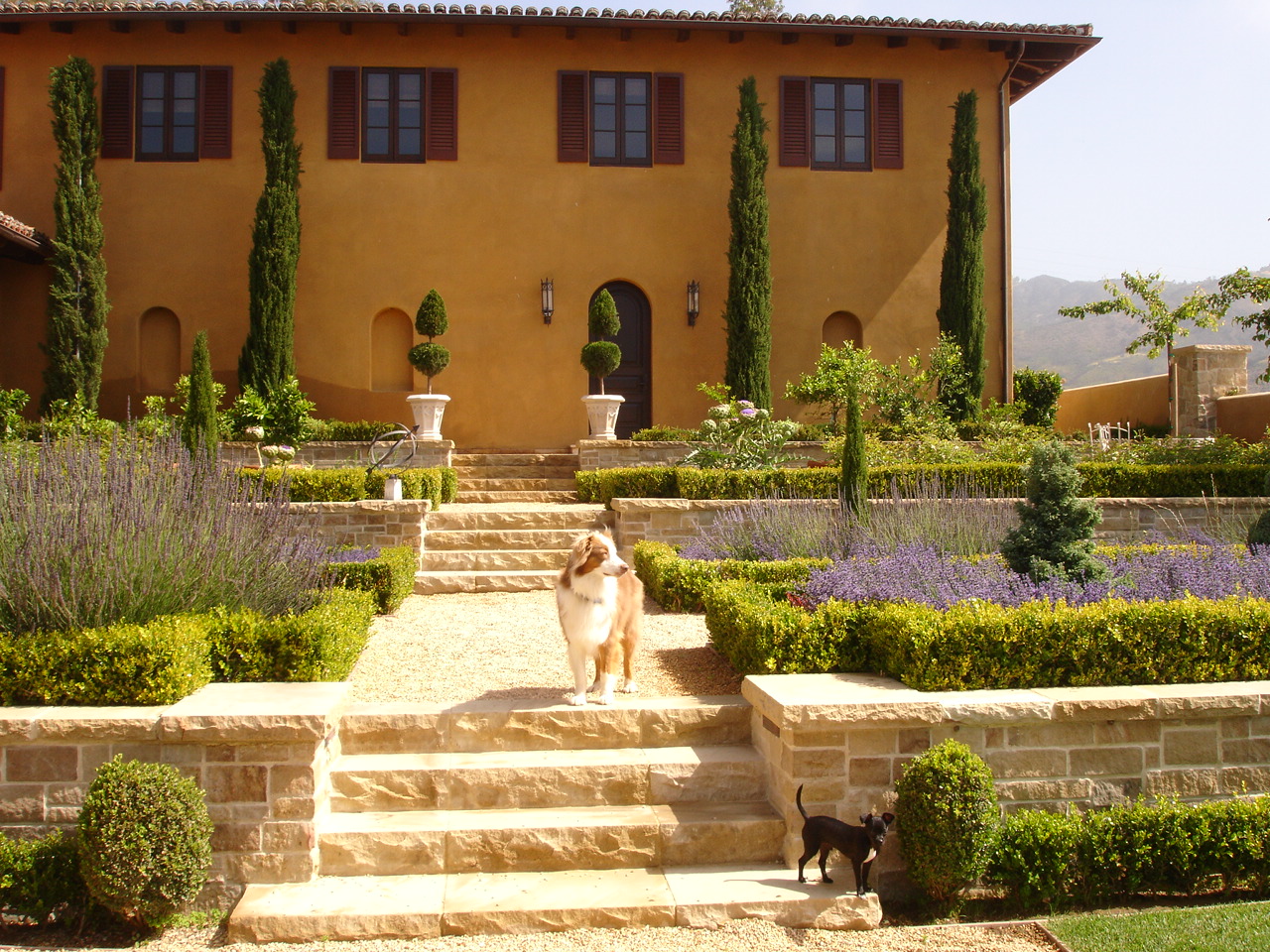 https://atmospherelandscapes.com/wp-content/uploads/2016/01/Formal-Garden-Residents-Posing.jpg