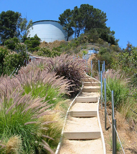 https://atmospherelandscapes.com/wp-content/uploads/2016/01/Laurel-Canyon-DaughAft-11-480x540.jpg