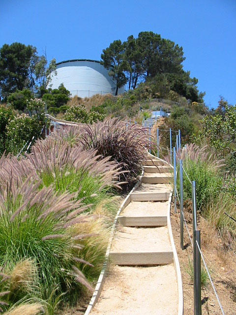 https://atmospherelandscapes.com/wp-content/uploads/2016/01/Laurel-Canyon-DaughAft-11.jpg