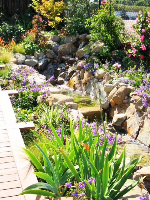 https://atmospherelandscapes.com/wp-content/uploads/2016/02/Point-Dume-21.jpg